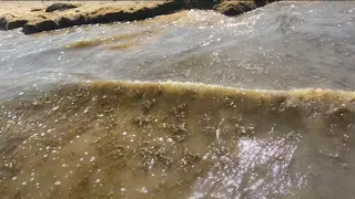 Морские блохи на Азовском море  Арабатская Стрелкя грязь на пляжах 2021. Лёгкий заработок на туризме