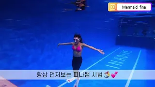 머메이드 다이빙 “머메이드 다이버”교육 과정💕카리브다이브센터🧜‍♀️피나쌤과 함께