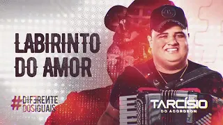 LABIRINTO DO AMOR - TARCÍSIO DO ACORDEON - CD DIFERENTE DOS IGUAIS.