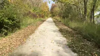 Biking in the Woods Optokinetic Training Video