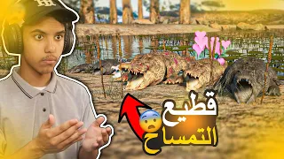 انيمليا سيرفايفل #9 : تكوين قطيع التماسيح ومعركة ضد الاسود | Animalia Survival