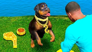 MELHOREI A VIDA DO CHOP NO GTA 5 - O FILME