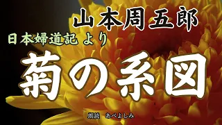 【朗読】山本周五郎・日本婦道記より「菊の系図」　朗読・あべよしみ