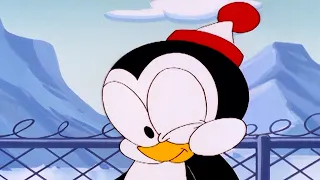¡Chilly el pingüino espía! | El Pájaro Loco
