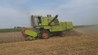 Żniwa 2023 Claas Mercator x 2