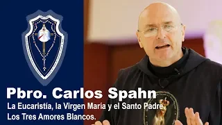 Padre Carlos Spahn - "La Eucaristía, la Virgen María y el Santo Padre" (JULIO 2018)