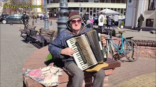 Они с Одного Года, Аккордеонист и Его Инструмент!