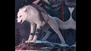 Cool wolf wallpapers