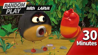 🅻🅰🆁🆅🅰 👉 RANDOM PLAY I Watch 30 minutes a day!! I Ep.26 I Larva Cartoon I Larva Official Channel