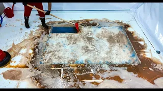 Pika Pika Pikachu ! Dark Mud, Flooded Rug | Carpet Cleaning Satisfying ASMR