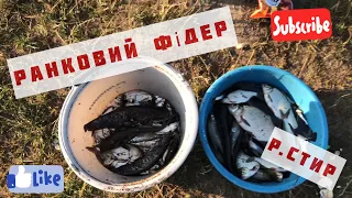 ВЕРХОВОДКА на фідер зранку, це просто жах😡😡😡Частина 2