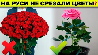 Почему на Руси не дарили срезанных цветов ? Идеи для подарков на 8 марта