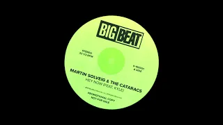 Martin Solveig & The Cataracs - Hey Now (feat. Kyle)