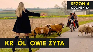 KRÓLOWIE ŻYTA Sezon 4 odc. 17 I Kabaret Malina I Adam Mechanik ogląda obrady Sejmu