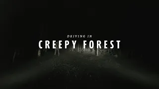Creepy Halloween Forest at Night - 4K Drive