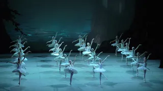 Swan Lake Act III Corps de ballet