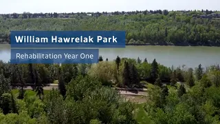 William Hawrelak Park Rehabilitation Project - Year One