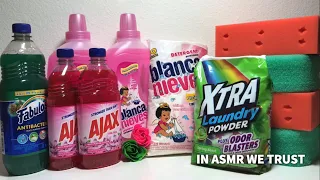 New Sponges | Blanca Nieves, Pink Ajax, Pine Fab, Xtra Powder, Soap Flowers + Xtra Pine Rinse ASMR