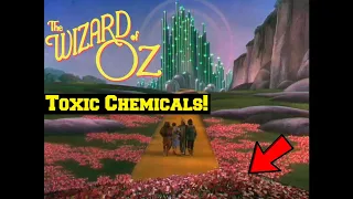 11 MIND-BLOWING "Wizard of Oz" Facts You Didn't KNOW That Will Change the Way You See The Movie!