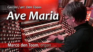 MARCO DEN TOOM | Caccini, Ave Maria | Organ Solo