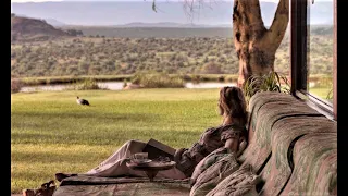 Ol Jogi Kenya | Most Expensive Safari in Africa