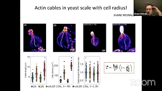 Physical Biology of the Cell Lecture Series - Jane Kondev