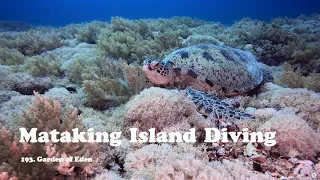 Mataking Island Diving: Garden of Eden | Semporna, Sabah