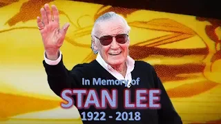 In Memory of Stan "The Man" Lee (1922 - 2018)