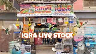 Iqra live stock & Exotic birds dealer ( Kurla East) Nehru Nagar