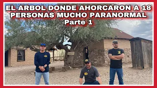 AVENTURA NUMERO 319 EL ÁRBOL DE LOS 18 AHORCADOS POR ROBAR MINERALES PARTE 1