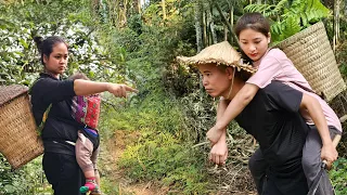 Harvesting eggplants to sell - Tai built a bamboo bathroom for Trang