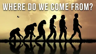 Human Evolution: The Complete Story Of Our Existence