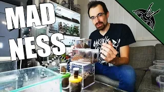 REHOUSE MADNESS 2!