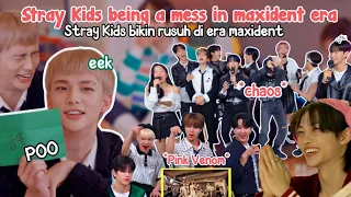 Stray Kids being a MAXIMUM mess in MAXIDENT era