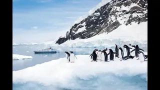Українські дослідження в Антарктиді
