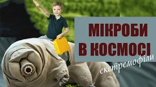 Мікроби в космосі