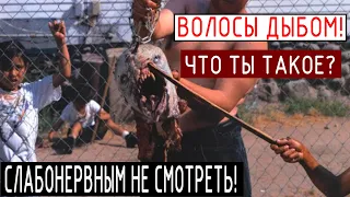 НЕИЗВЕСТНОЕ СУЩЕСТВО В ИНДИИ!!! УЧЕНЫЕ НЕ ЗНАЮТ, ЧТО ЭТО!!! (19.06.2020) ДОКУМЕНТАЛЬНЫЙ ФИЛЬМ HD