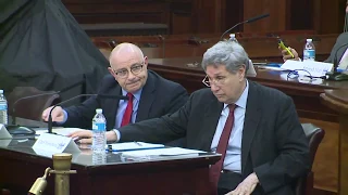 Charter 2019 NYC Revision Commission - 1/31/2019 @ City Hall