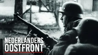 Het Oostfront - Nederlanders in de Waffen-SS | Documentaire | WWII | English subs