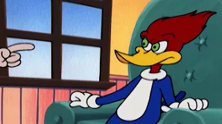 1 Hour of Woody Woodpecker | Couples Therapy + More Full Episodes