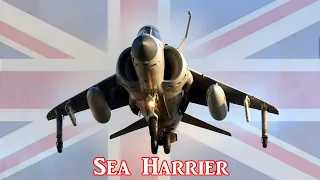 Sea Harrier - What's special about the Royal Navy's strike fighter?