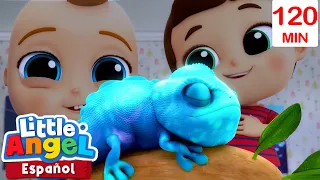 ¡Una Nueva Mascota! | Canciones Infantiles 🎵  Para bebés | Little Angel y sus amigos