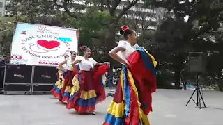 Ballet Juvenil del Tachira