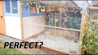 Building The Perfect Aviary