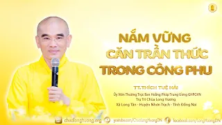 Nắm Vững "Căn Trần Thức" Trong Công Phu  - TT. Thích Tuệ Hải  - Chùa Long Hương