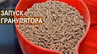 Гранулятор Дмитрия Мохова. Настройка и запуск гранулятора.