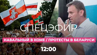 Отравление Навального. Нашли сильнодействующий яд? / Протесты в Беларуси. Последние новости // Дождь