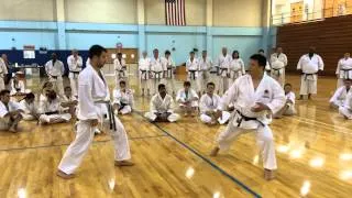 JKA Taniyama Takuya Sensei - Empi Bunkai