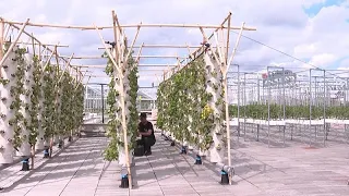 The world's largest rooftop garden has just opened in Paris