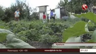 Уральский пенсионер претендует на звание самого пожилого студента